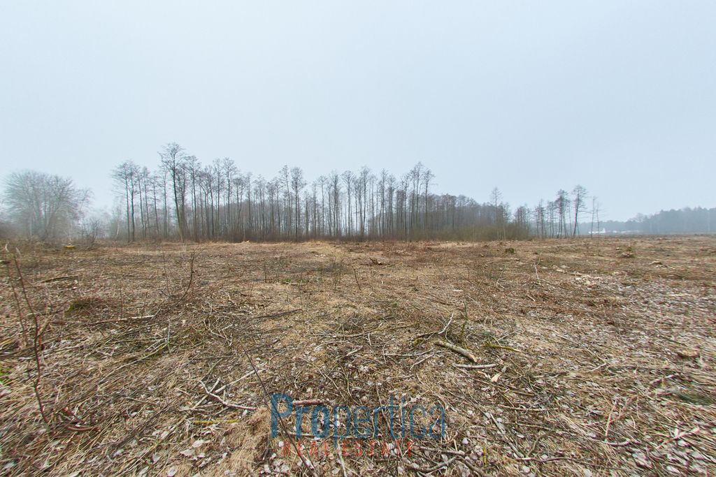 Działka budowlana Opaleniec. Zdjęcie 11