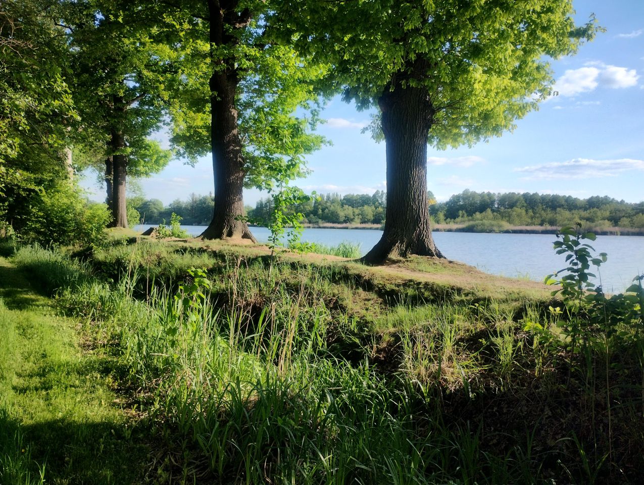 Działka budowlana Tułowice Tułowice Małe. Zdjęcie 4
