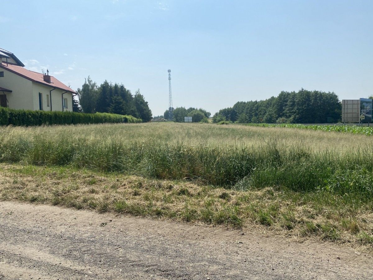 Działka budowlana Tuszynek Majoracki, ul. Królewska