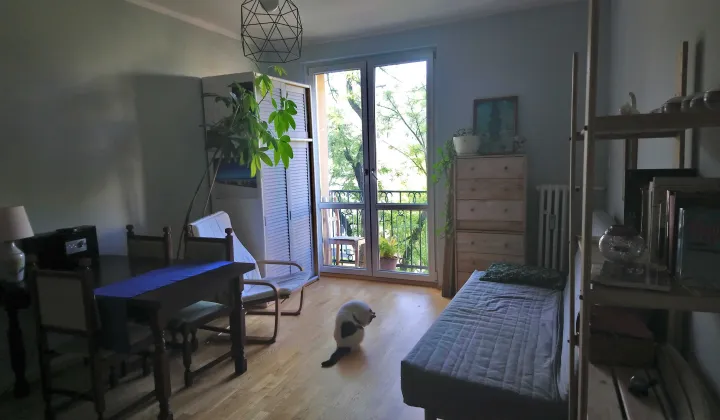 Mieszkanie 3-pokojowe Katowice Koszutka