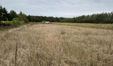 Działka budowlana Zofibór