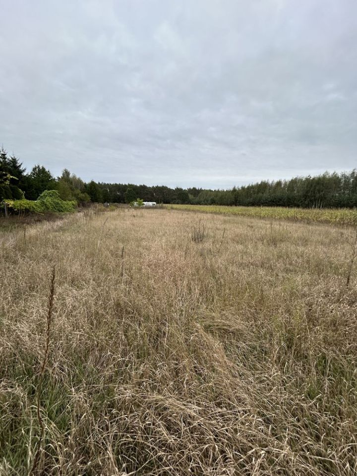 Działka budowlana Zofibór. Zdjęcie 2