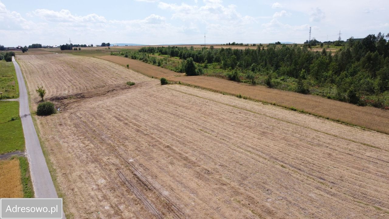 Działka inwestycyjna Dąbrowa. Zdjęcie 3