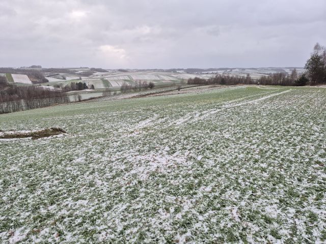 Działka rolna Chrzanów Chrzanów Czwarty. Zdjęcie 1