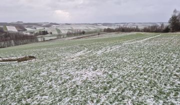 Działka rolna Chrzanów Chrzanów Czwarty