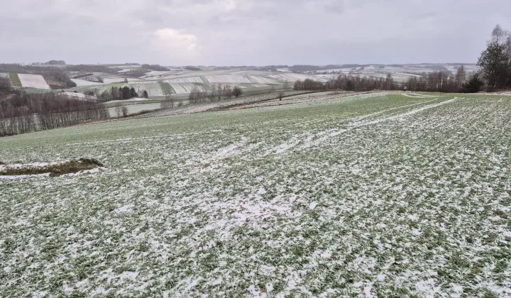 Działka rolna Chrzanów Chrzanów Czwarty