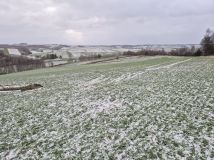 Działka rolna Chrzanów Chrzanów Czwarty