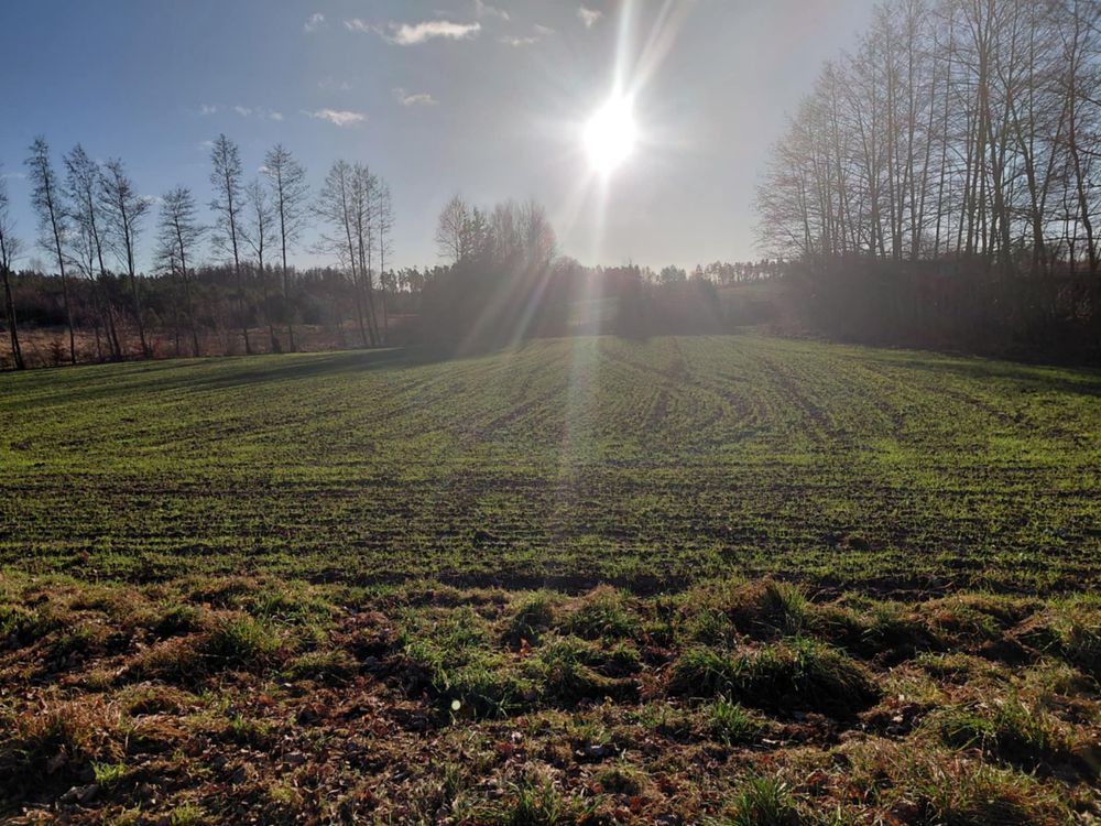 Działka budowlana Szydlice. Zdjęcie 4