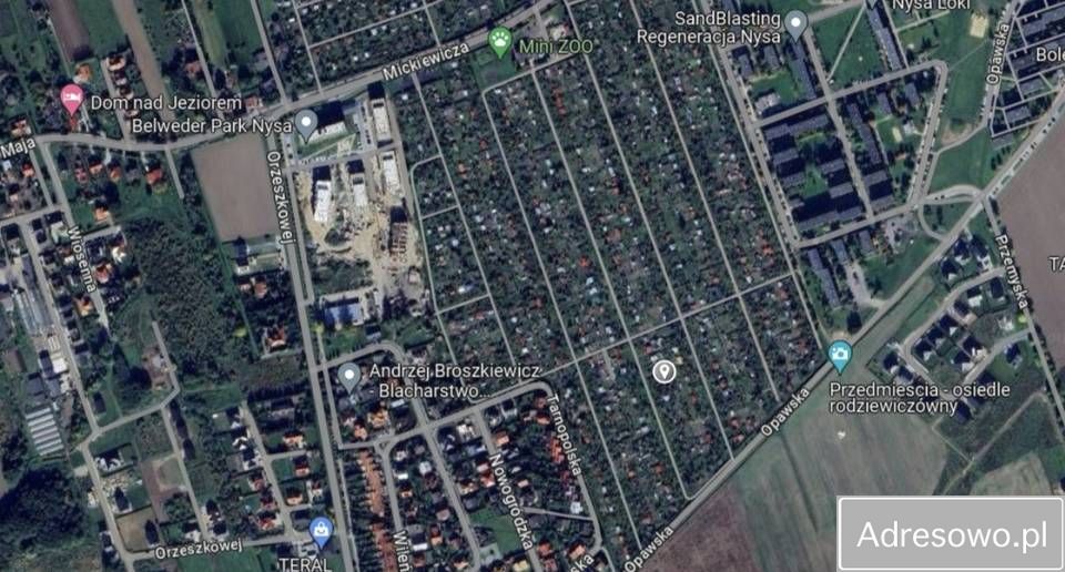 Działka rod Nysa, ul. Adama Mickiewicza. Zdjęcie 6