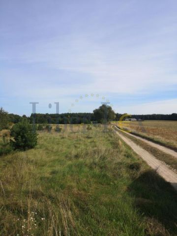 Działka rolna Szumlin. Zdjęcie 8