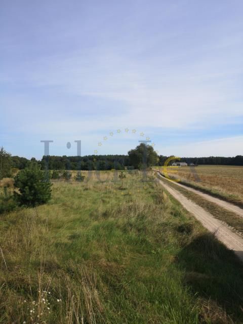 Działka rolna Szumlin. Zdjęcie 8