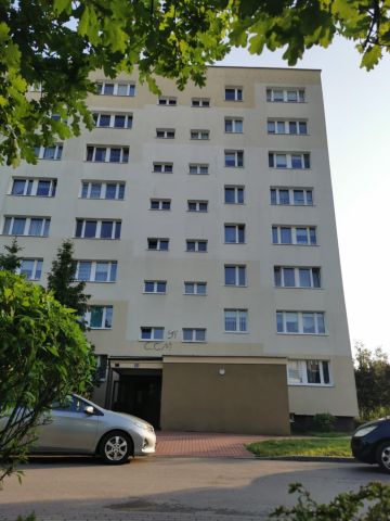 Mieszkanie 1-pokojowe Legionowo Centrum, ul. Pałacowa. Zdjęcie 12