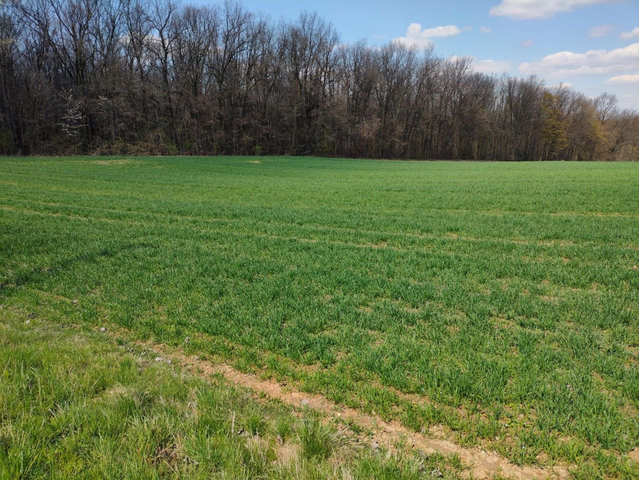 Działka budowlana Celiny. Zdjęcie 28