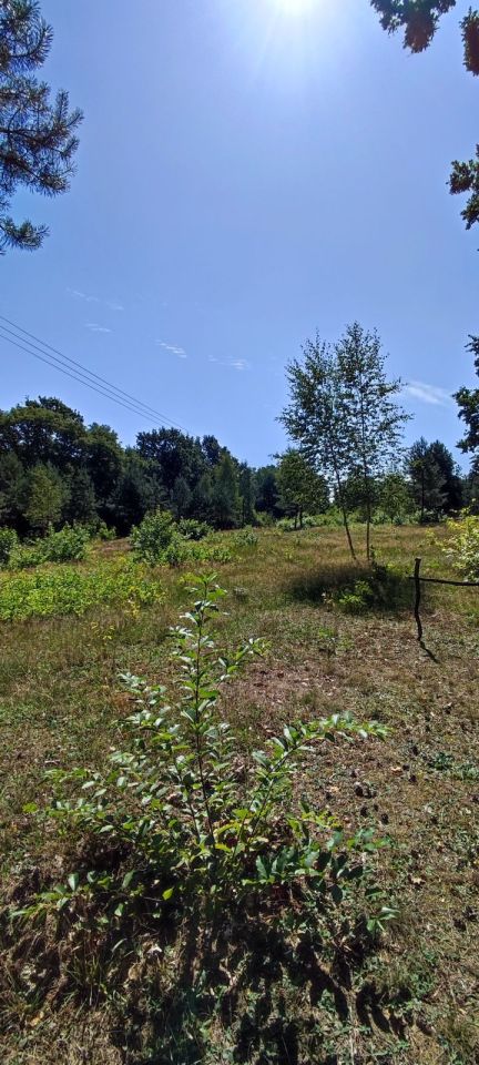 Działka budowlana Skoki. Zdjęcie 5