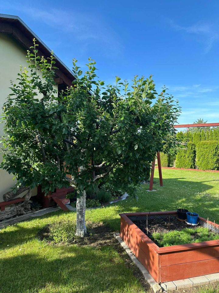 Działka rod Świdnica, ul. Stanisława Staszica. Zdjęcie 6