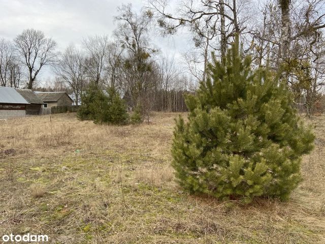 Działka budowlana Gradoczno. Zdjęcie 3