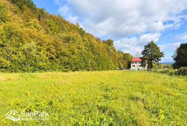 Działka rolna Wołkowyja. Zdjęcie 5