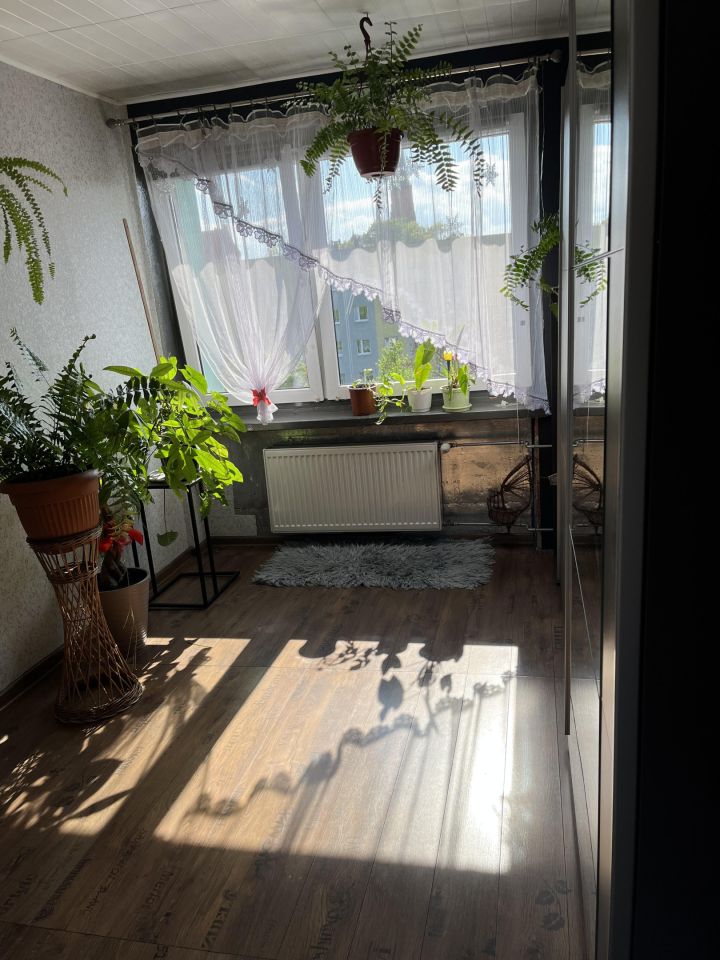 Mieszkanie 3-pokojowe Mysłowice Centrum, ul. Olbrychta Strumieńskiego. Zdjęcie 9