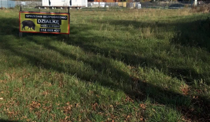 Działka budowlana Jaktorów-Kolonia, ul. Armii Krajowej