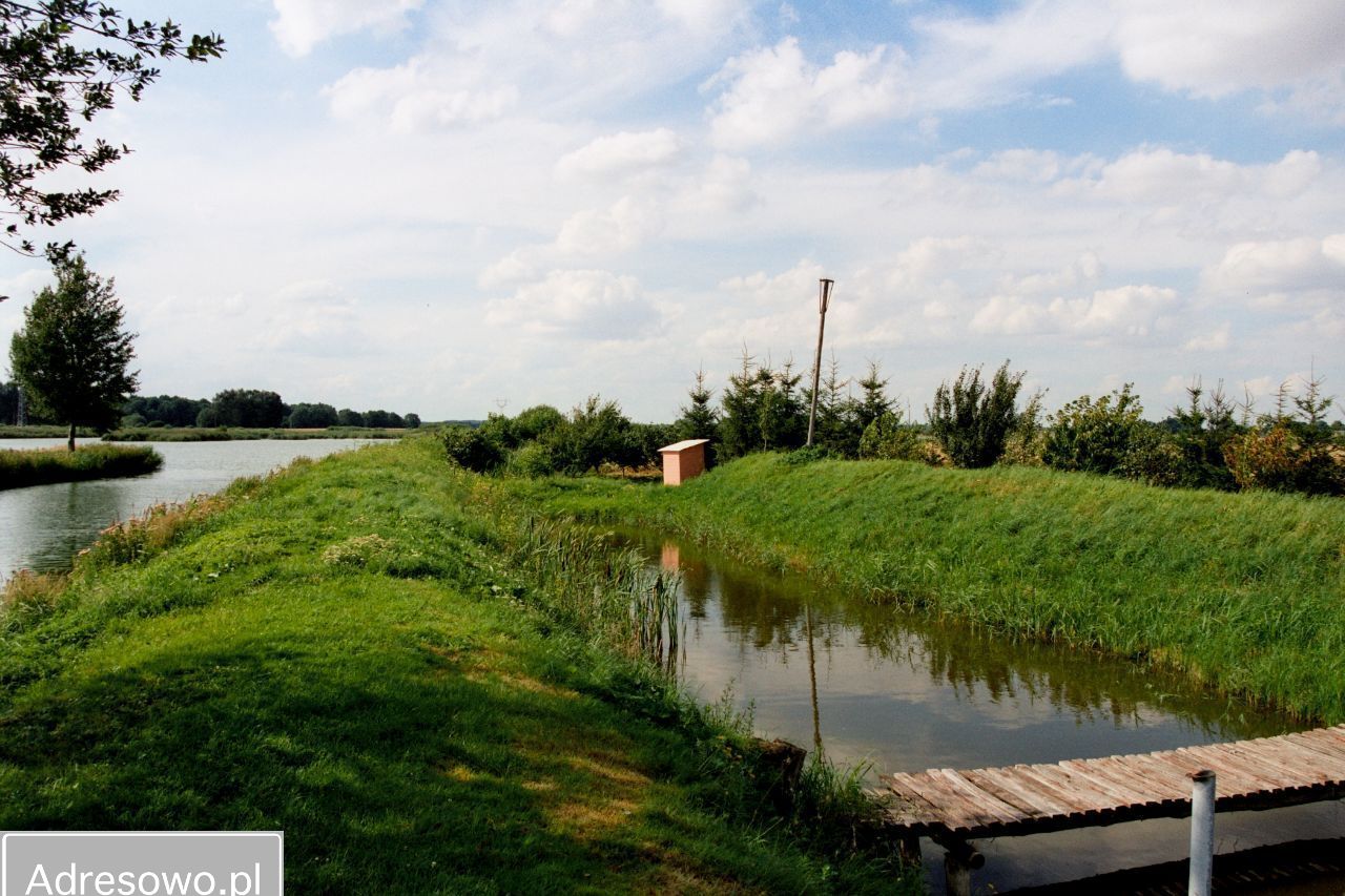 Działka rolna Dziedzice. Zdjęcie 4