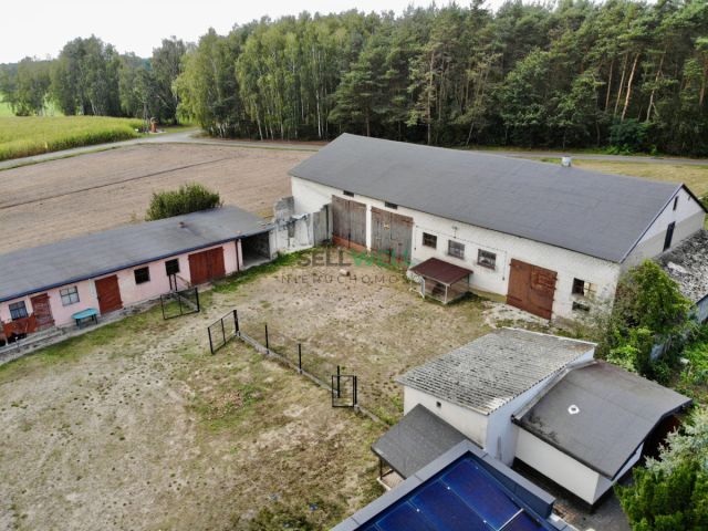 Działka siedliskowa Gutków. Zdjęcie 8