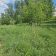 Działka rolna Psary Nowa Wieś, ul. Nowowiejska. Zdjęcie 2