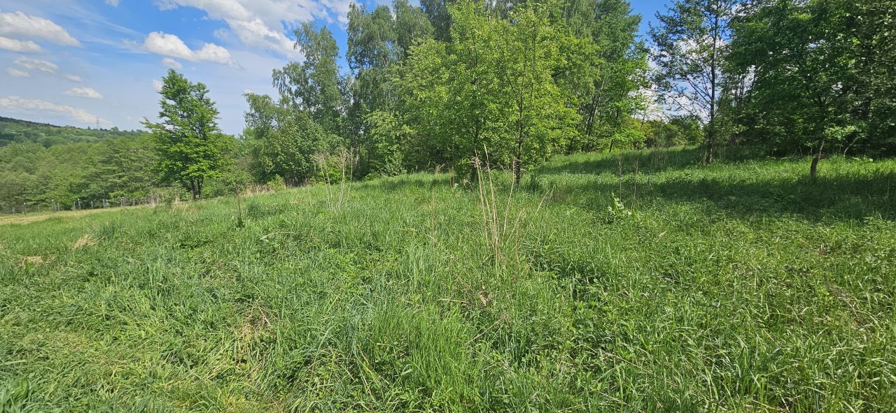 Działka rolna Psary Nowa Wieś, ul. Nowowiejska. Zdjęcie 2