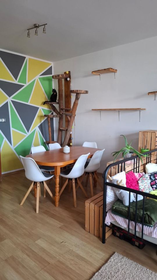 Mieszkanie 2-pokojowe Tarnobrzeg, pl. Bartosza Głowackiego. Zdjęcie 12