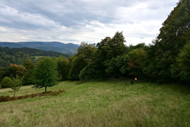 Działka rolno-budowlana Kuków. Zdjęcie 1