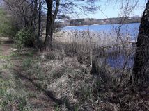 Działka rolno-budowlana Zalesie Królewskie. Zdjęcie 4