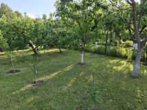 Działka rod Stary Olsztyn. Zdjęcie 2