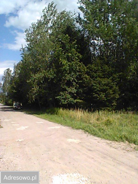Działka siedliskowa Nowa Wieś. Zdjęcie 2
