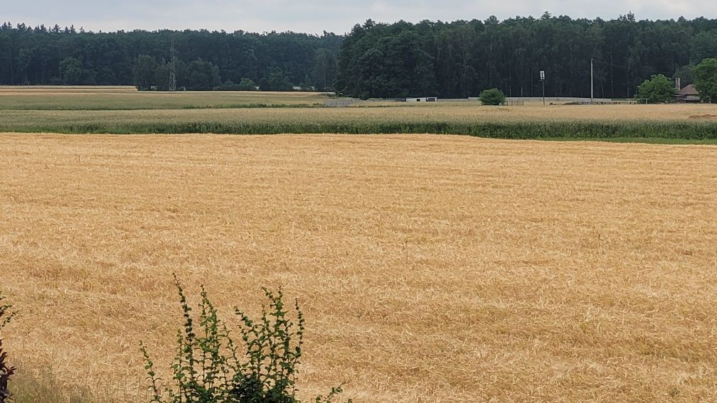 Działka budowlana Gorzyce Wielkie, ul. Tęczowa