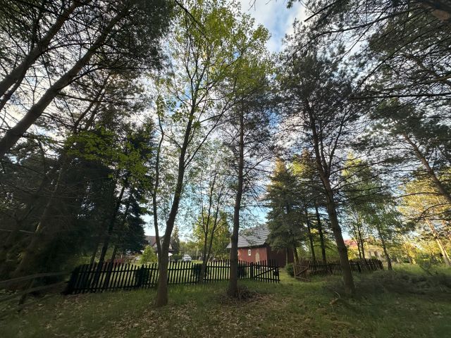 dom wolnostojący, 4 pokoje Wierzchownia. Zdjęcie 7