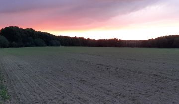 Działka rolna Przemocze