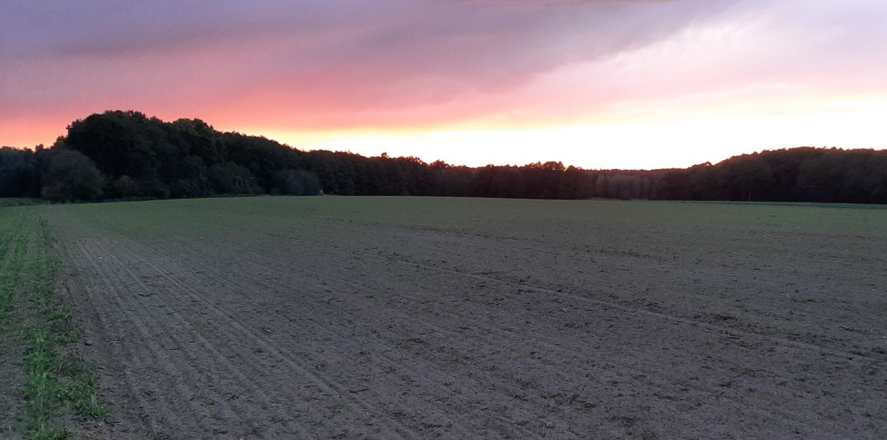 Działka rolna Przemocze. Zdjęcie 2