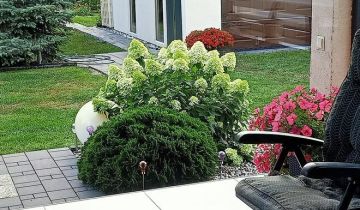 dom wolnostojący, 3 pokoje Łęg Przedmiejski, ul. Leśna