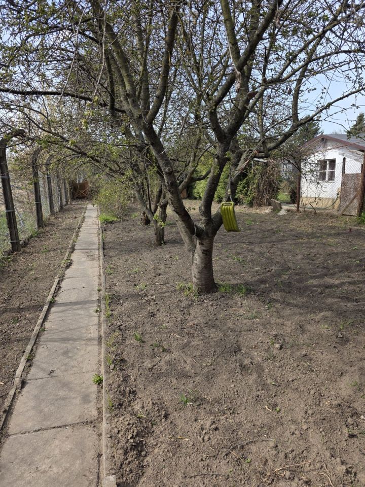 Działka rod Warszawa Mokotów. Zdjęcie 5