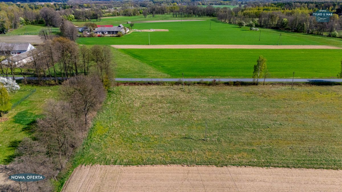 Działka inwestycyjna Madeje Stare. Zdjęcie 6