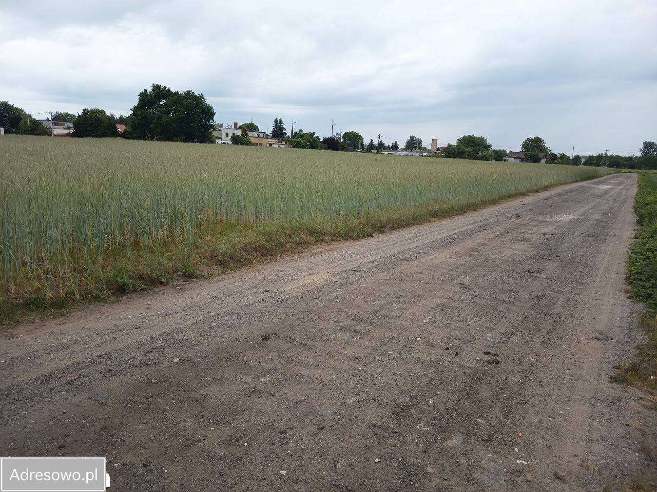 Działka budowlana Koneck. Zdjęcie 1