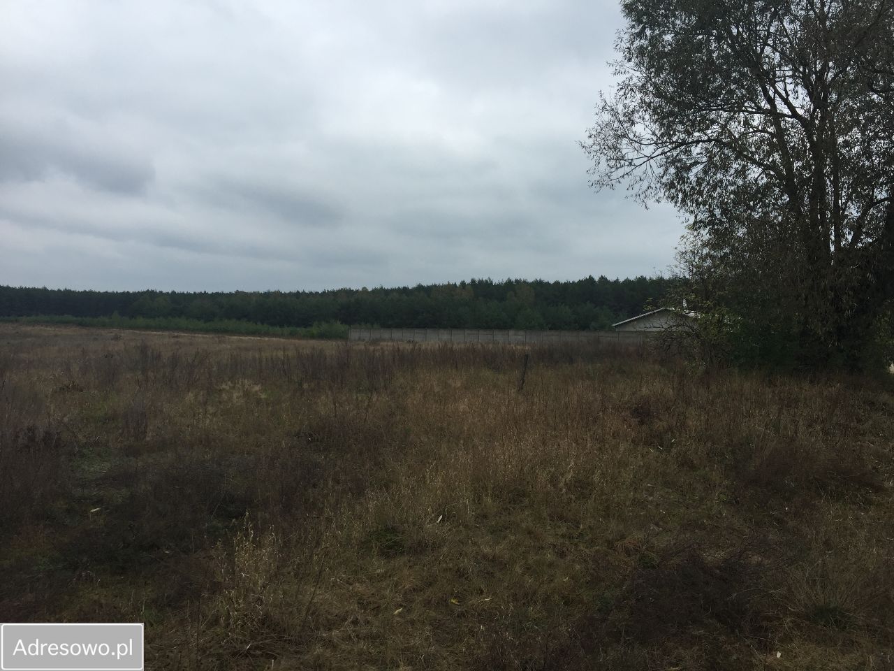 Działka budowlana Łowyń. Zdjęcie 8