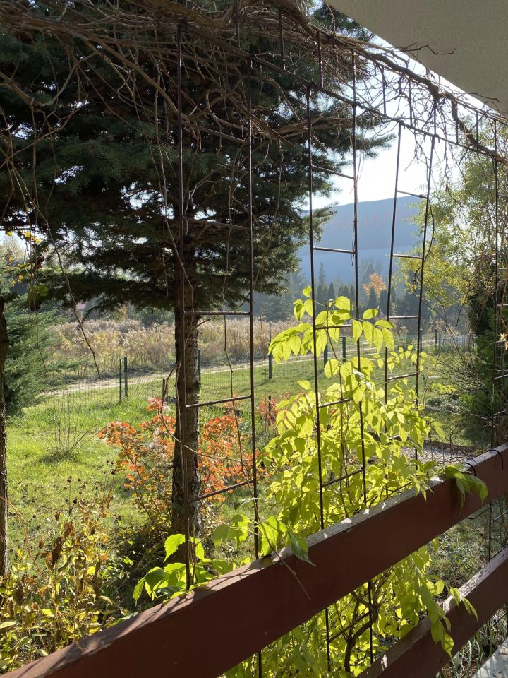 Działka rod Łódź Bałuty, ul. Hodowlana. Zdjęcie 11