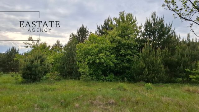 Działka inwestycyjna Myrcha. Zdjęcie 6