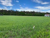 Działka budowlana Srocko Małe. Zdjęcie 1