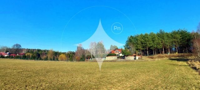 Działka rolna Marcinkowo. Zdjęcie 3