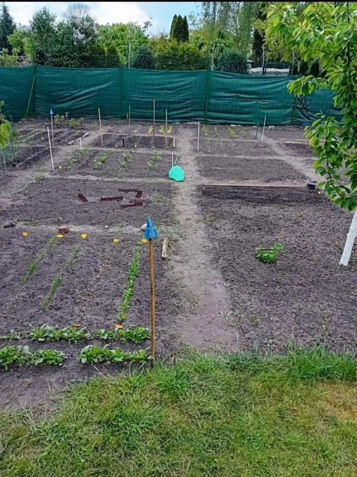 Działka rod Chełmża, ul. gen. Józefa Hallera. Zdjęcie 3