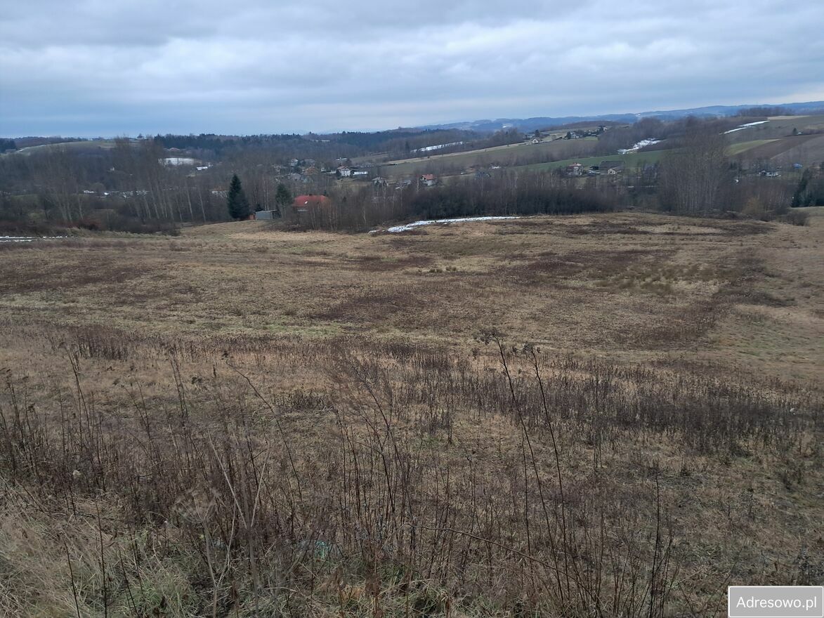 Działka rolno-budowlana Czermna. Zdjęcie 2