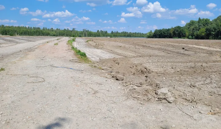 Działka inwestycyjna Chmielów