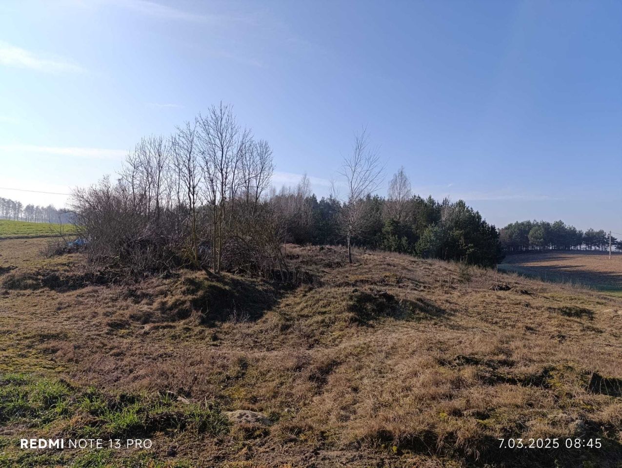 Działka rolno-budowlana Jarczewo. Zdjęcie 7