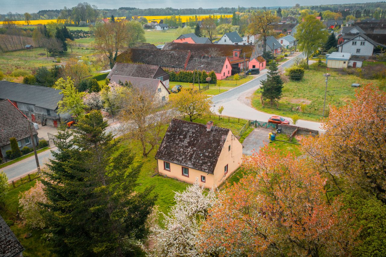 gospodarstwo, 2 pokoje Radosław. Zdjęcie 4